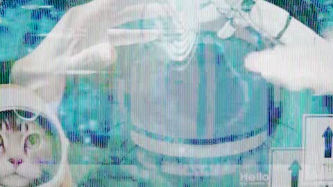 Snapshot of max_original chatting on 01.28.25 Future Max online show from 01.28.25