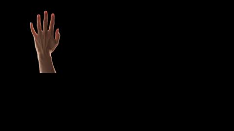 Snapshot of max_original chatting on 02.24.25 Future Max online show from 02.24.25