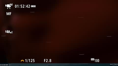 Snapshot of maximus_787 chatting on 01.31.25 Maximus7871 online show from 01.31.25