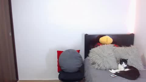 Independent Model online show from 02.18.26