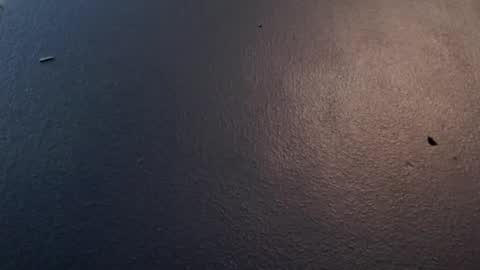 Snapshot of maxwellandpam chatting on 01.29.25 Max and Pam Voyeur Cam online show from 01.29.25