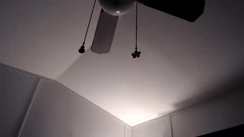 Snapshot of maxwellandpam chatting on 11.28.25 Max and Pam Voyeur Cam online show from 11.28.25