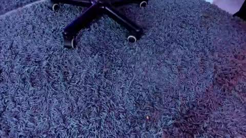 bunny black   online show from 03.01.25