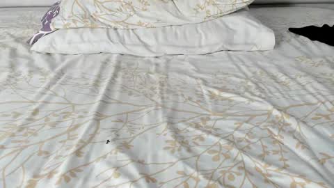 Maybelline69 online show from 11.20.25