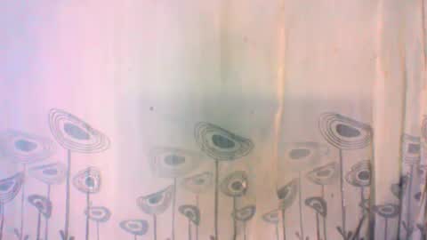 Snapshot of mayrah5 chatting on 02.05.25 mayrah online show from 02.05.25