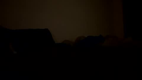 mb99667788 online show from 02.24.26