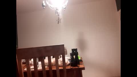 Snapshot of mccock16cm chatting on 02.16.25 mccock16cm online show from 02.16.25