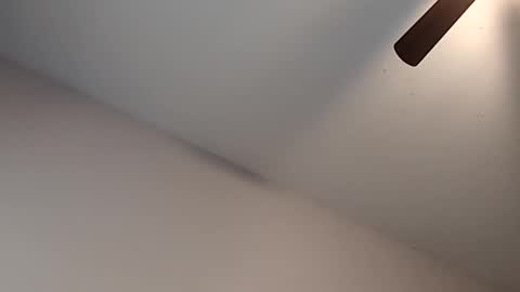 Snapshot of meanfinger chatting on 02.13.26 Jizzy online show from 02.13.26