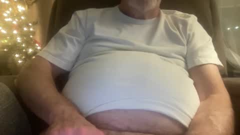 Snapshot of megabigkahuna chatting on 12.26.24 whatever you want it to be online show from 12.26.24