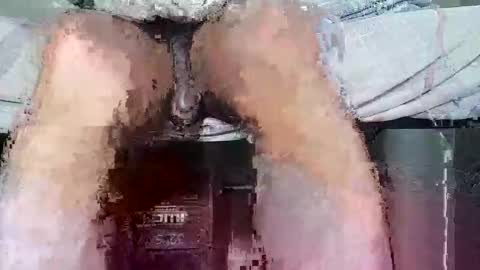 megaguebo online show from 02.11.26