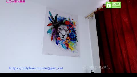 Snapshot of megan_cat chatting on 11.18.25 megan_cat online show from 11.18.25