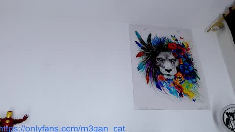 Snapshot of megan_cat chatting on 11.25.25 megan_cat online show from 11.25.25