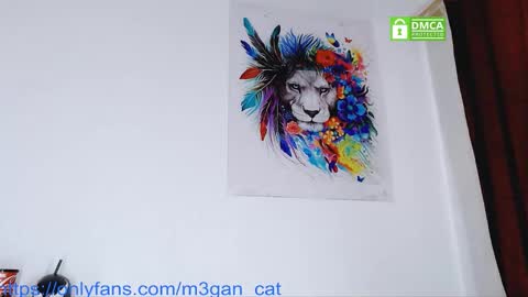 Snapshot of megan_cat chatting on 12.01.25 megan_cat online show from 12.01.25
