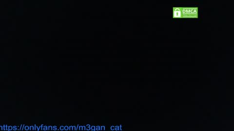Snapshot of megan_cat chatting on 07.04.26 megan_cat online show from 07.04.26