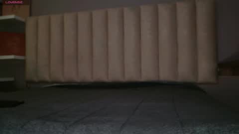     online show from 01.19.26