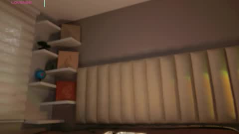     online show from 02.19.26