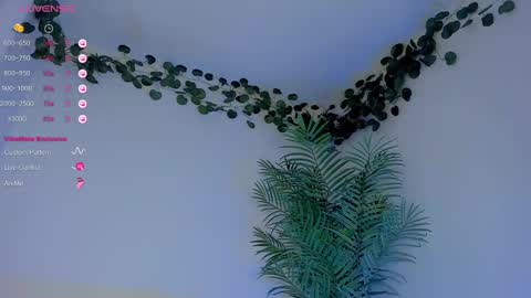 Snapshot of megancarlott_ chatting on 03.01.25 megancarlott_ online show from 03.01.25