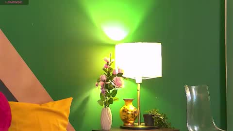 Snapshot of megancookie chatting on 03.02.26 MeganCookie online show from 03.02.26