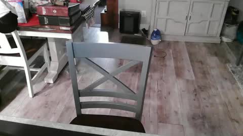 Snapshot of meganfitzy chatting on 03.03.25 GlamTransGoddess online show from 03.03.25