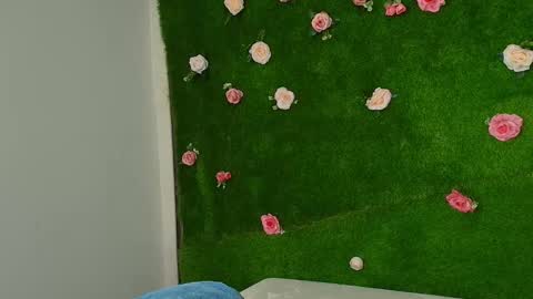 megatitts_ online show from 01.06.26