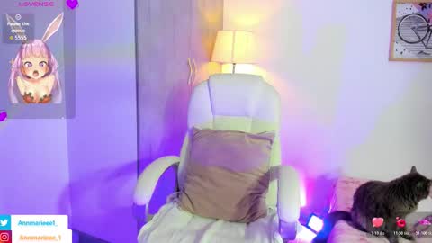 Snapshot of megumi_ann chatting on 11.01.25 Ann online show from 11.01.25