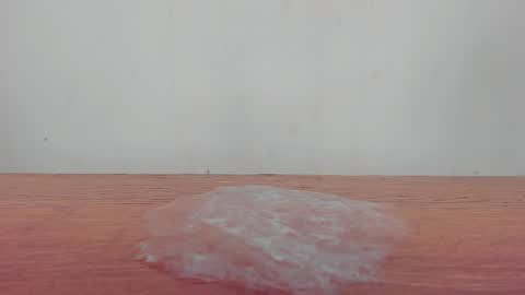 Snapshot of melania_browis chatting on 01.19.26 Melania online show from 01.19.26