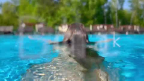 Adel online show from 01.14.26