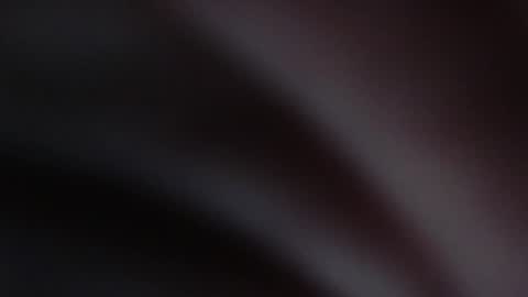 Snapshot of melefesenta chatting on 01.03.25 Erica online show from 01.03.25