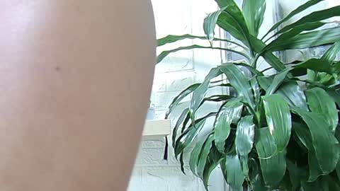 Snapshot of melisa_garcia chatting on 01.23.25 Melissa online show from 01.23.25