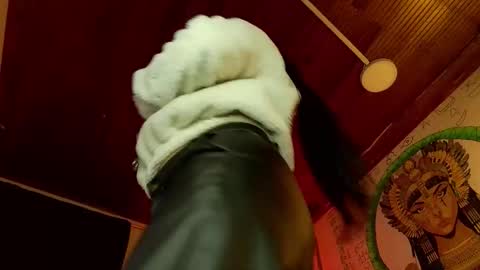 Snapshot of melissa_dolce chatting on 01.16.26 michell online show from 01.16.26