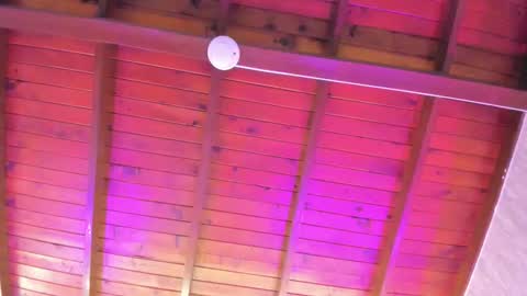 Melody online show from 11.11.25