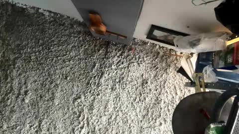 melodysnow online show from 01.05.26