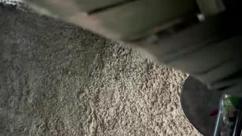 melodysnow online show from 01.09.26