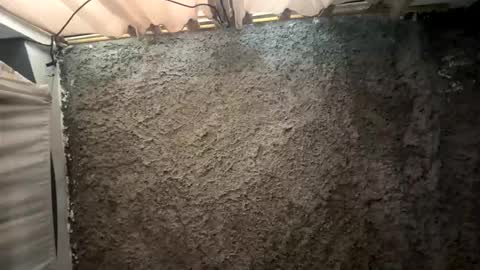 melodysnow online show from 01.15.26