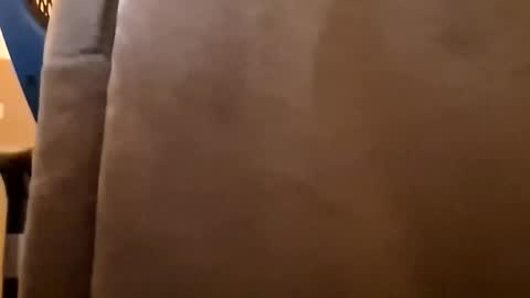 DutchFun Cock online show from 01.06.26