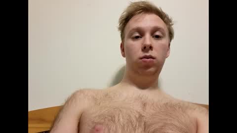 meow732 online show from 12.14.25