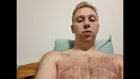 meow732 online show from 12.20.25