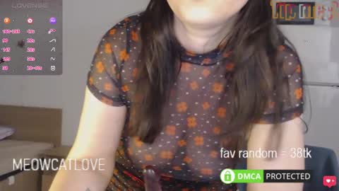 Snapshot of meowcatlove chatting on 03.01.25 meowcatlove online show from 03.01.25