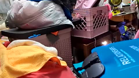 Snapshot of merelyalover chatting on 02.26.25 gurlnips online show from 02.26.25