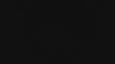 Snapshot of mewade chatting on 02.13.26 Wade online show from 02.13.26