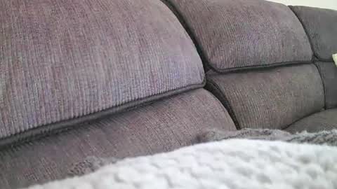 mexianthehawk online show from 03.30.26