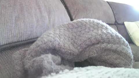 mexianthehawk online show from 04.18.26