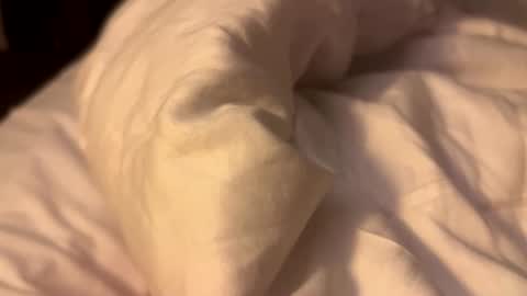 mezo2222 online show from 02.06.26