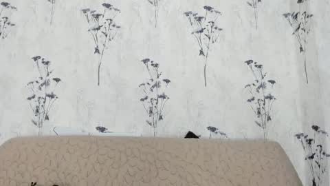 Mia  online show from 01.10.25