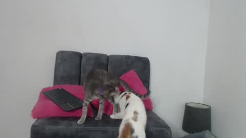 M I A online show from 11.13.25