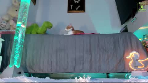 Snapshot of mia_starss chatting on 11.16.25 Mia online show from 11.16.25