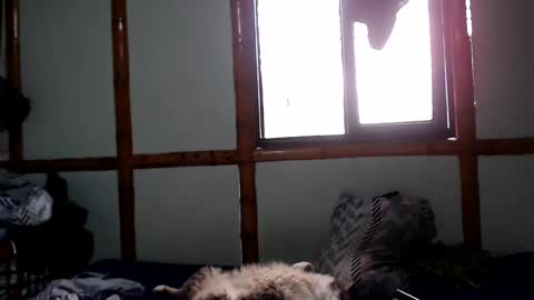 Snapshot of miahells chatting on 10.04.25 Mia Sam online show from 10.04.25