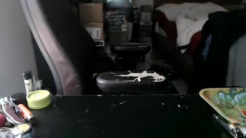 Mark online show from 10.12.25