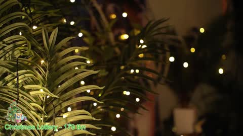 Snapshot of mialandxx chatting on 12.27.24 ask online show from 12.27.24