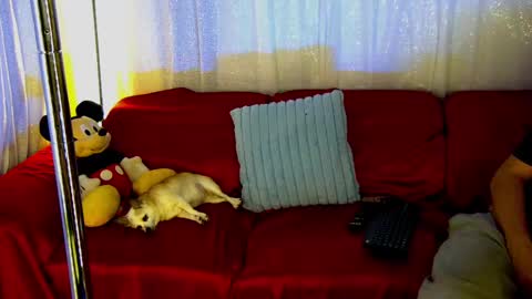 Mickey online show from 02.28.25